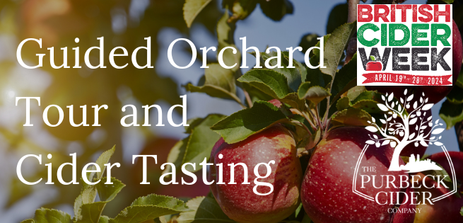 Purbeck Cider Tour and Tasting