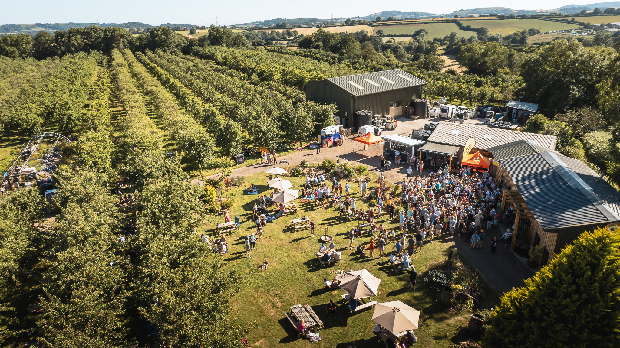 Dorset Nectar Aerial View