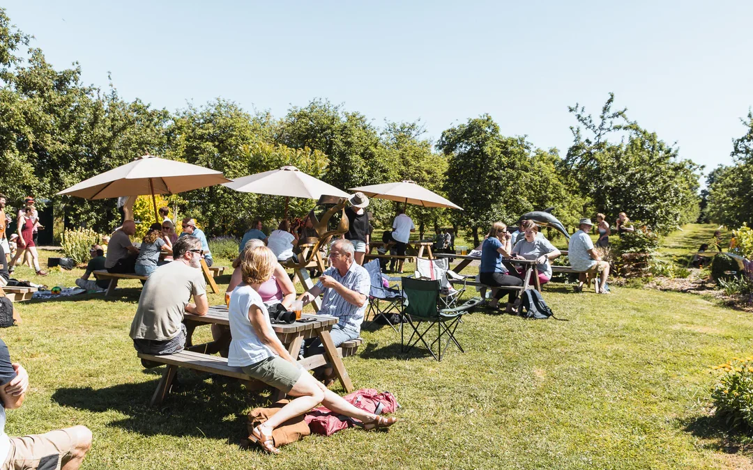 Dorset Nectar Cider Tour and Blossom Walk