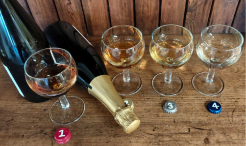 Hereford Cider Museum Tasting