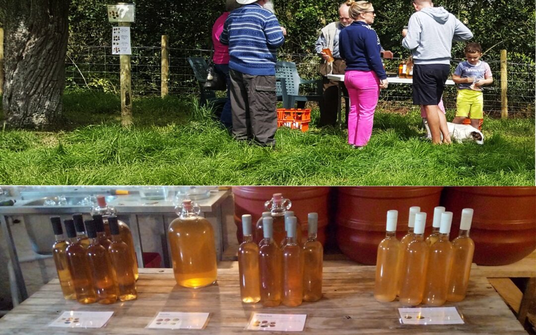 Aylton Cider and Orchards and a little Perry thrown in!
